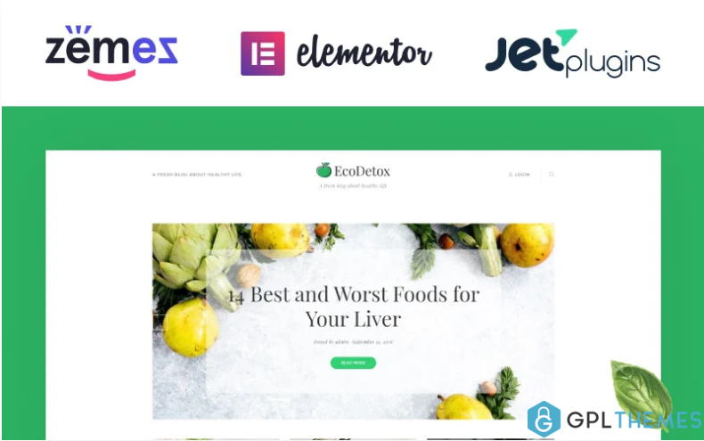 EcoDex Fresh Food Blog Website For Healthy Lifestyle WordPress Theme 2