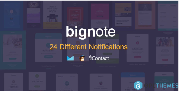 Bignote 24 Unique Responsive Email Notification set Online Access