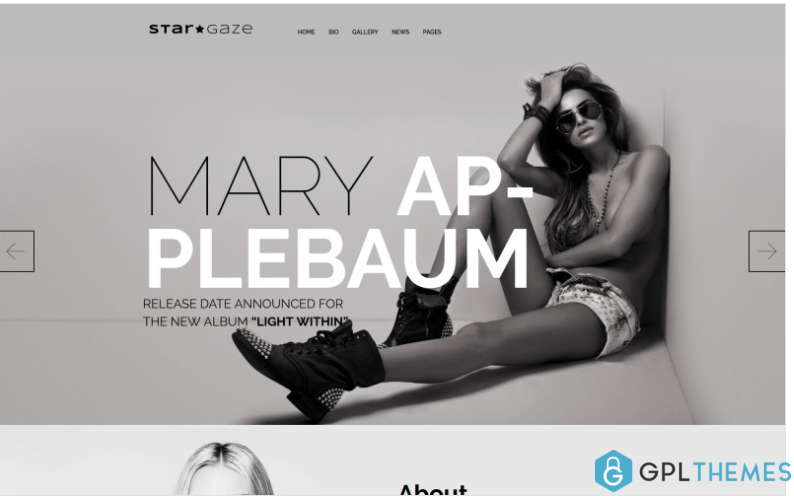 Stargaze Media Celebrity Responsive WordPress Theme