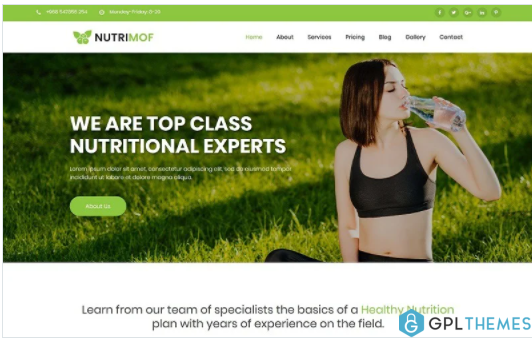 Nutrimof Nutritional Health WordPress Theme