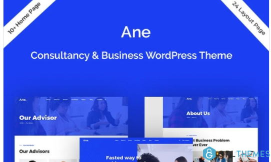 Ane Business Consulting WordPress Theme