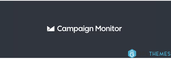 Profile Builder Campaign Monitor