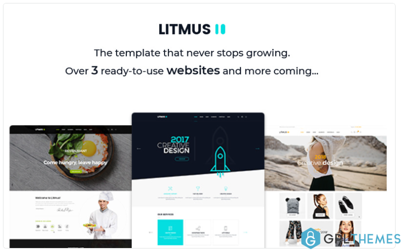 Litmus Creative Multipurpose Website Template
