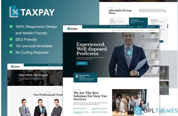 TaxPay Advisor Financial Consulting Elementor Template Kit
