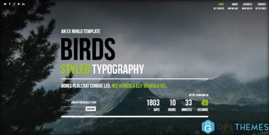 Birds-Responsive-Coming-Soon-Page