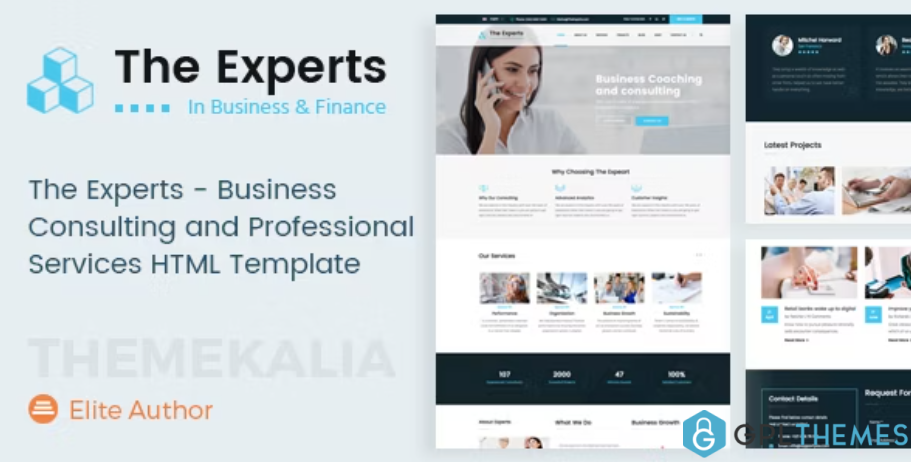 The-Experts-Business-Consulting-Template
