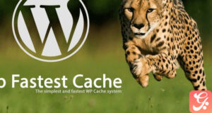 WP Fastest Cache WordPress Plugin 1.7.1