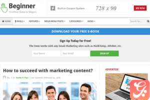 Theme Junkie Beginner WordPress Theme 1.0.1