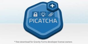 Gravity Forms Picatcha Add-On 2