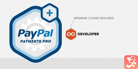 paypal payments pro large 560x280 1
