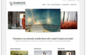 Elegant Themes Chameleon WordPress Theme 3.9.13