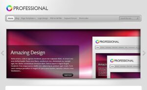 Elegant Themes TheProfessional WordPress Theme 4.0.13