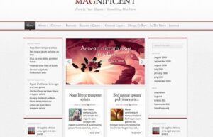 Elegant Themes Magnificent WordPress Theme 3.8.13