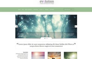 Elegant Themes Evolution WordPress Theme 3.0.14