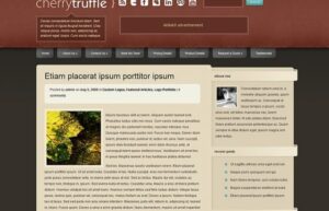 Elegant Themes CherryTruffle WordPress Theme 6.3.13