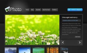 Elegant Themes ePhoto WordPress Theme 7.0.12