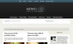 Elegant Themes eNews WordPress Theme 4.9.12
