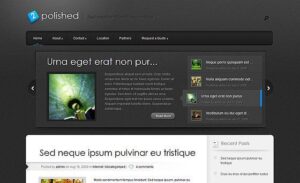 Elegant Themes Polished WordPress Theme 4.5.13