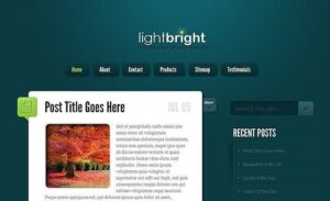 Elegant Themes LightBright WordPress Theme 4.7.13