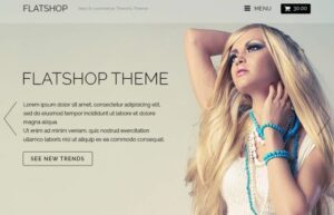 Themify Flatshop WooCommerce Themes 7.5.4