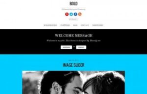 Themify Bold WordPress Theme 7.5.1