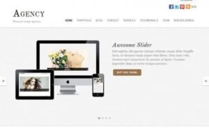 Themify Agency WordPress Theme 7.5.6