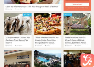 MyThemeShop SociallyViral WordPress Theme 2.4.9