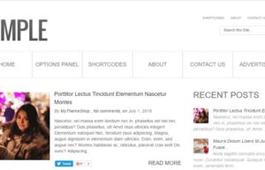 MyThemeShop Simple WordPress Theme 1.1.11