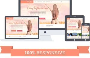 MyThemeShop Salvation WordPress Theme 1.2.12