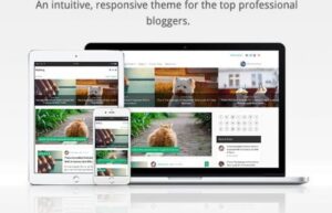 MyThemeShop MyBlog WordPress Theme 1.2.11