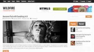 MyThemeShop Wildfire WordPress Theme 1.1.3
