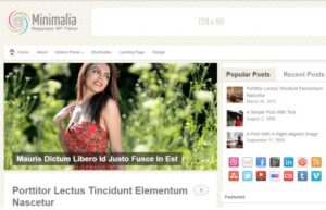MyThemeShop Minimalia WordPress Theme 1.2.8