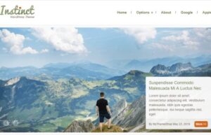 MyThemeShop Instinct WordPress Theme 1.0.8