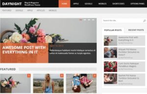 MyThemeShop DayNight WordPress Theme 1.1.3