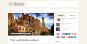 MyThemeShop Minimalia WordPress Theme 1.3.3