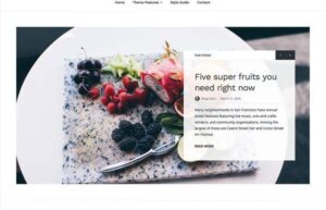 Array Themes Baseline WordPress Theme 1.2.5