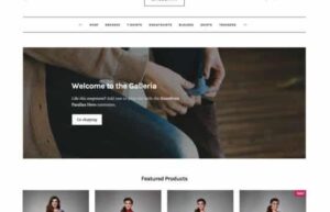 Woothemes Galleria WooCommerce Themes 2.2.18
