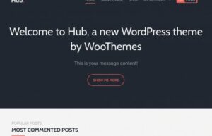 Woothemes Hub WooCommerce Themes 1.2.20