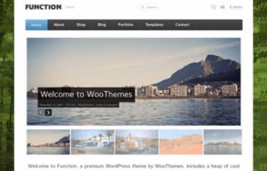Woothemes Function WooCommerce Themes 1.4.13