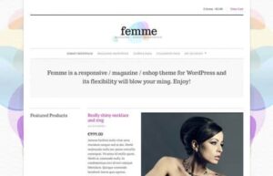 CSSIgniter Femme WordPress Theme 2.9
