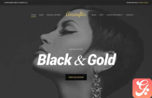 CSSIgniter Amaryllis WordPress Theme 3.1