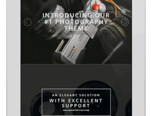 ThemeIsle Rokophoto WordPress Theme 1.1.11