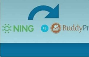 WPMU DEV Ning To BuddyPress WordPress Plugin 1.2.2
