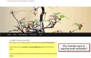 WPMU DEV Remove Email Verification 2.4.1