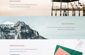 WPMU DEV Spirit 1.4.1