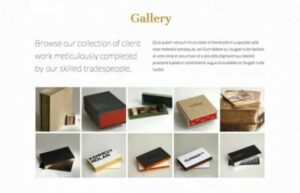 WPMU DEV Scribe 1.4.1