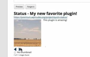 WPMU DEV Status 1.8.4