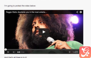 WPMU DEV Password Protect Selected Content 1.1