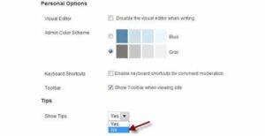 WPMU DEV Admin Panel Tips 1.0.7.7