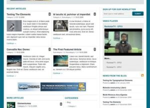 WooThemes The Station Premium Theme 2.3.5